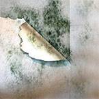 Erste Hilfe gegen Hochwasserschäden