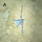 leckstellen abdichtung