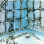 schimmelbekaempfung-sanitaerbereich