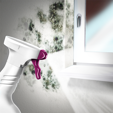  MEM-Schimmel-Entferner-Illustration