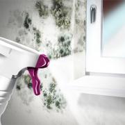 Mem - Schimmelentfernung  - Projekt teaser